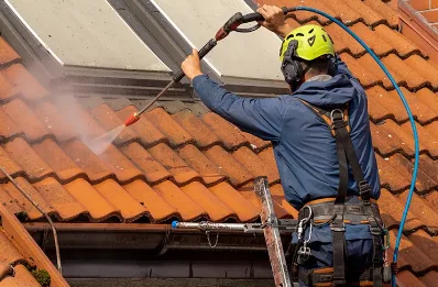 Démoussage et hydrofuge de toiture à Eyburie